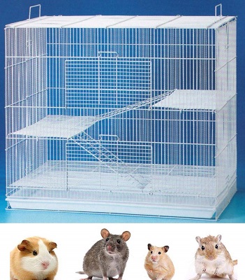 Three Level Small Animal Cage
