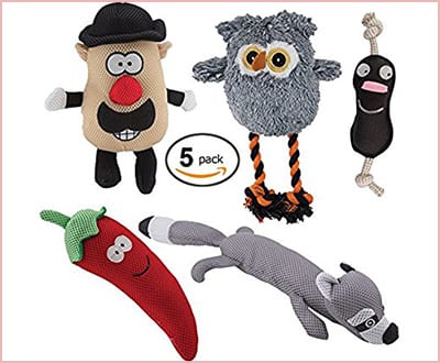 5 pack dog toys set durable different sizes and models