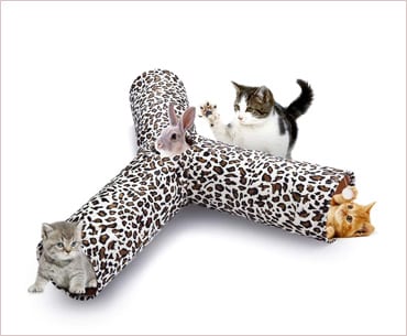isYoung cat tunnel play tube collapsible
