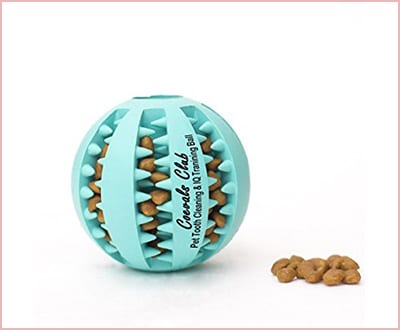 Coevals club pet dog treat feed ball non-toxic
