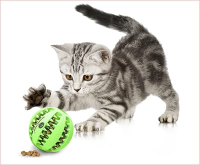 Dental treat toy by SunGrow large snack ball