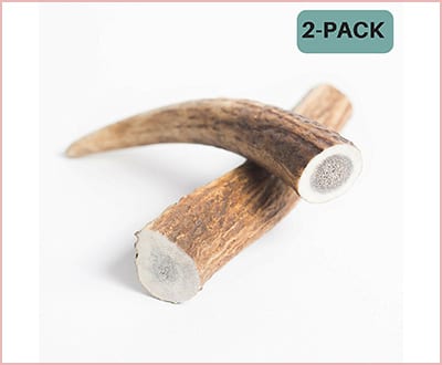 Elk Antler dog chew toy for puppies