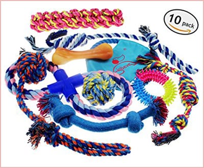 Lobeve dog toys 10 pack gift set for puppies