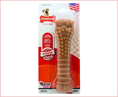 Nylabone Dura chew textured toy