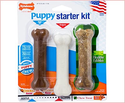 Nylabone just for puppies started Kit bones