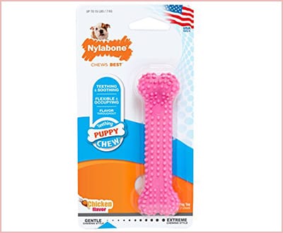 Nylabone puppy chew toy small size