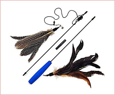 Pet Fit for Life 2 feather teaser and exerciser