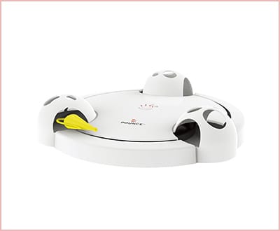 PetSafe Pounce automatic Pet Toy