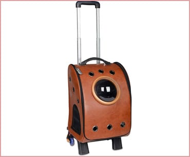 Pettom pet bubble backpack
