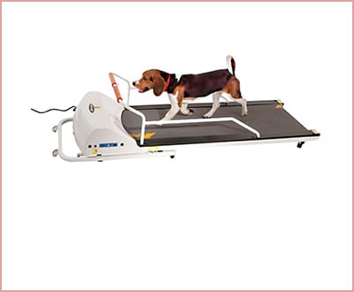 GoPet treadmill small/medium size