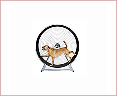 GoPet treadwheel for indoor and outdoor use