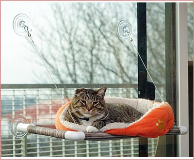 original kitty cot cat perch by Kitty Cot
