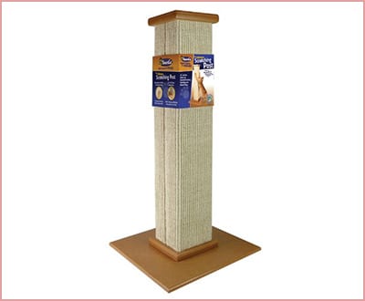 Pioneer Pet SmartCat ultimate scratching post