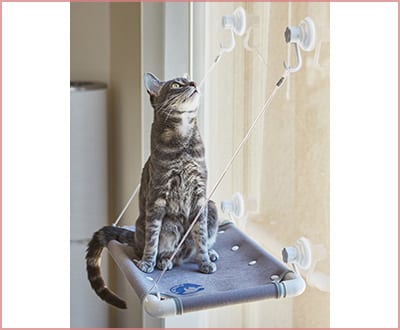Sunny window cat perch by Purrlala