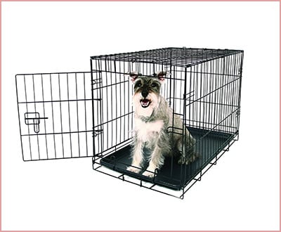 Carlson single door dog crate in black