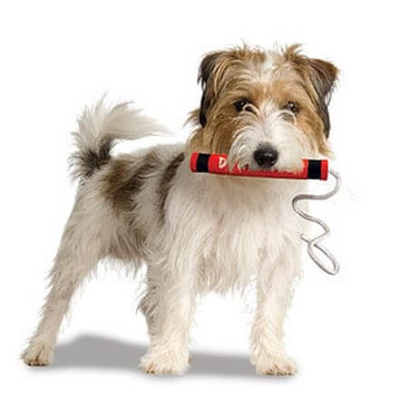 best tuffy dog toys