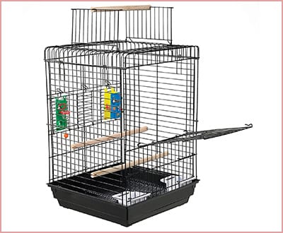 Kaytee Play n Learn Cage for Cockatiel