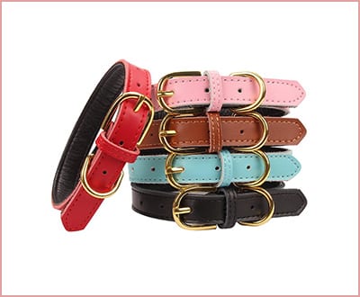Aolove Basic padded leather pet collar for dogs
