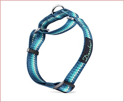 Dazzber Martingale durable dog collar