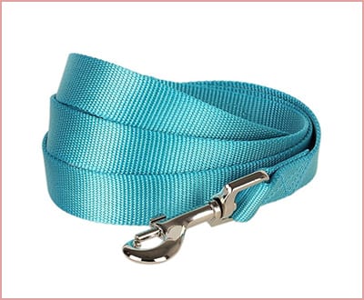 Blueberry pet classic solid dog leash