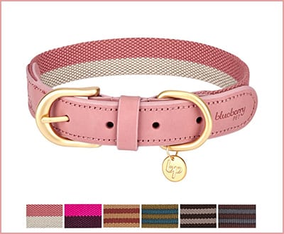 Blueberry Pet multi colored leather stripe dog collar