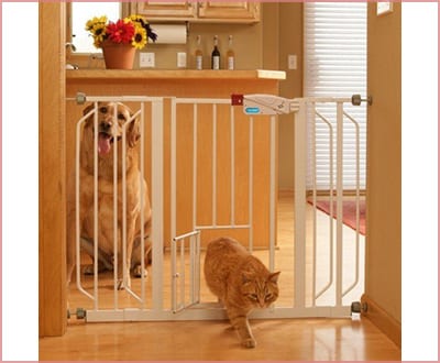 Carlson with an extra wide walk thru gate with pet door dog gate