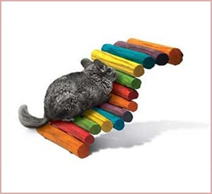interpret limited tropical fiddle sticks toy
