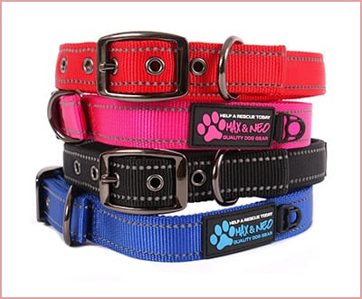Max and Neo MAX reflective metal buckle dog collar