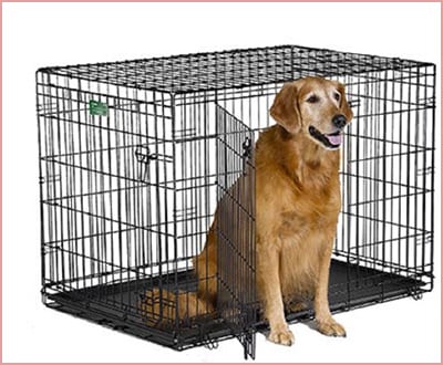 MidWest iCrate folding metal dog crate in black