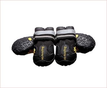 My Busy Dog Water Resistant Dog Shoes