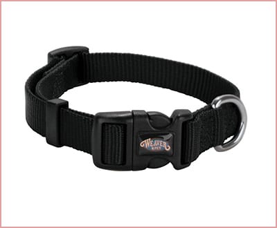 Weaver Prism Snap n' Go dog collar