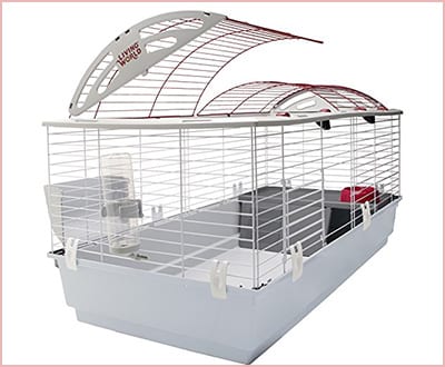 living world habitat