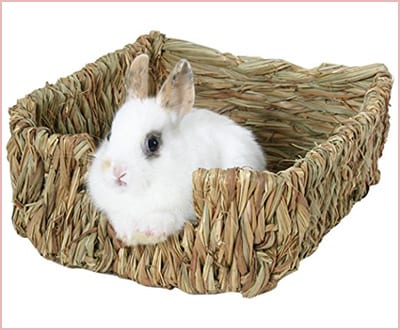 Peters Woven grass