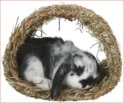 Peters woven grass hideaway