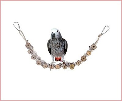 Parrot Toy,Bvanki Colurful Rainbow Bridge