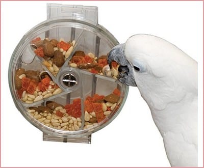 Caitec Creative Foraging Systems Clear Foraging Wheel