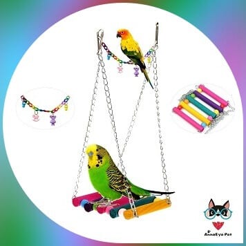 parakeet on colored swing and swing accessories on the side 