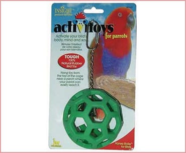parrot toys