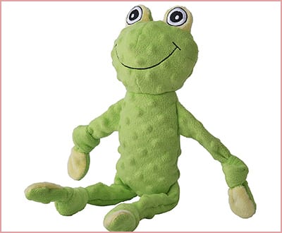 Best Bingpet Squeaky Toys for Chihuahuas