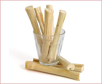 Best Bwogue bamboo Chew Toys for Hamsters