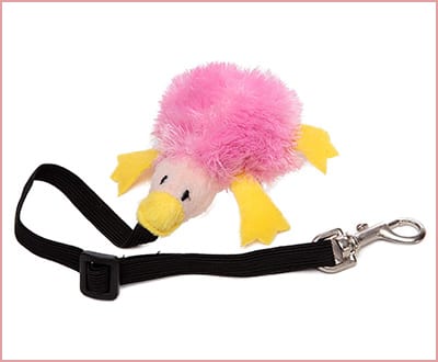 Best Marshall Bungee Ferret Toys