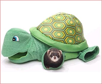 Marshall Turtle Tunnel 
