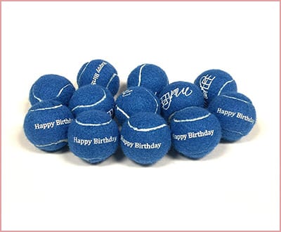 Midlee Happy Birthday Toys for Chihuahuas