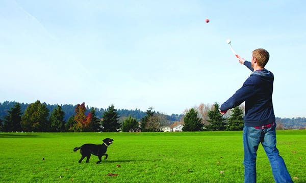 Best Dog Ball Launcher