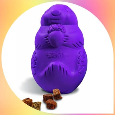 purple petsafe busy buddy squirrel dude dog toy 