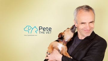 banner of pete the vet