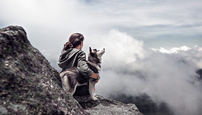Dealing with Pet Loss: A Time for Grief, Recovery, and Social Support