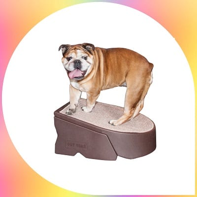 Pet Gear Step and Ramp combination