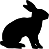 black rabbit vector