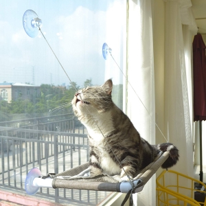 Cat Window Perch by pefuny
